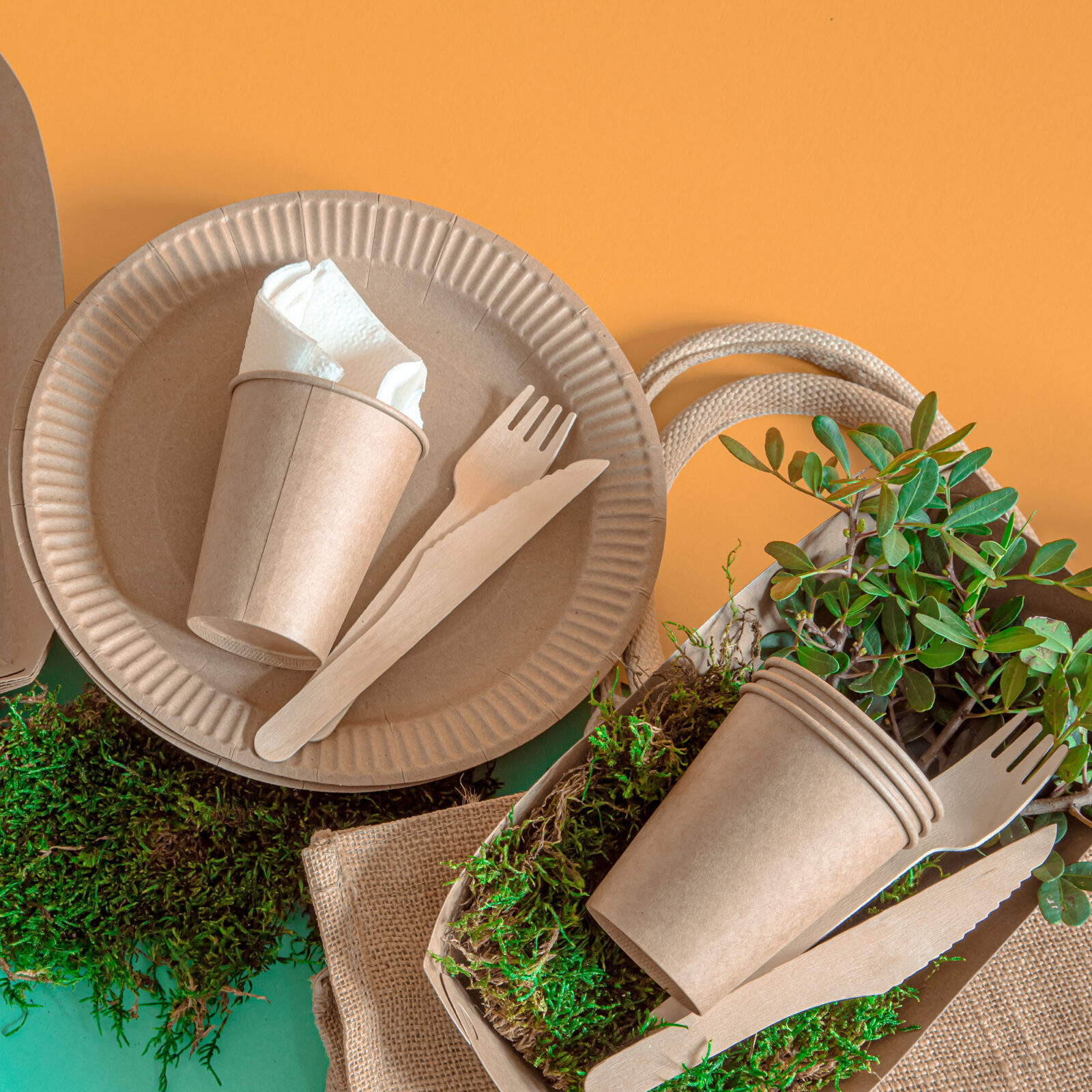 posate compostabili